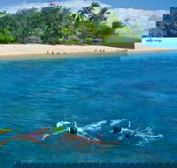 Wavedancer Low Isles Great Barrier Reef Sailing Cruise from Port Douglas - Darwin Tourism