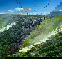 Skyrail Rainforest Cableway Day Trip from Port Douglas - Darwin Tourism