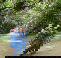 Mossman River Drift Snorkelling from Port Douglas or Mossman - Darwin Tourism