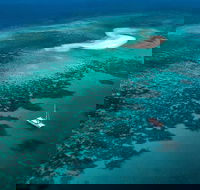 Outer Barrier Reef Sailing and Snorkeling Adventure from Port Douglas - Darwin Tourism