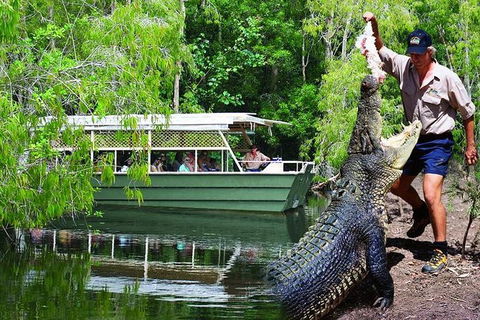Crocs, Creatures And Culture Ex Northern Beaches - Darwin Tourism 1