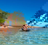 Half Day Low Isles Snorkelling Tour from Port Douglas - Darwin Tourism
