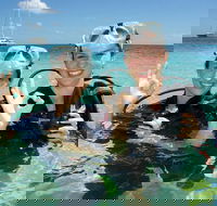 Ocean Spirit Michaelmas Cay Dive and Snorkel Cruise from Palm Cove - Darwin Tourism