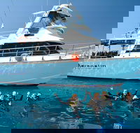 Great Barrier Reef Cruise from Townsville or Magnetic Island - Darwin Tourism
