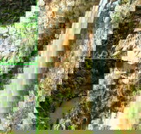 Rainforest  Waterfalls Extravaganza - Darwin Tourism