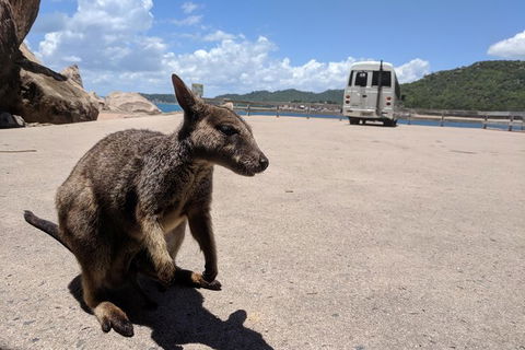 Magnetic Island Tour: Maggie Comprehensive - Darwin Tourism 0