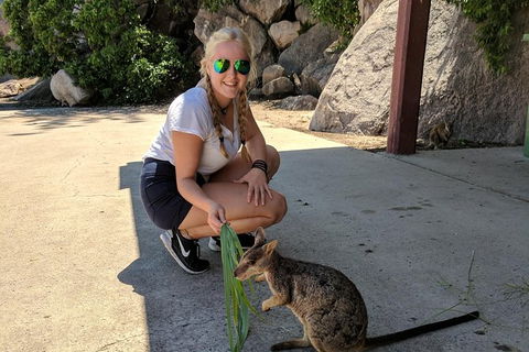 Magnetic Island Tour: Maggie Comprehensive - Darwin Tourism 9
