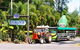 Tropical Fruit World With Wildlife Boat Cruise From Gold Coast - thumb 2