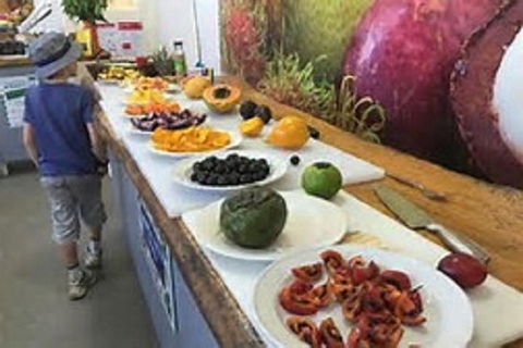 Tropical Fruit World With Wildlife Boat Cruise From Gold Coast - Darwin Tourism 17