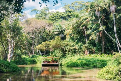 Tropical Fruit World With Wildlife Boat Cruise From Gold Coast - Darwin Tourism 3