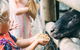 Tropical Fruit World With Wildlife Boat Cruise From Gold Coast - thumb 4