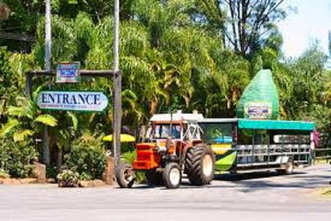 Tropical Fruit World With Wildlife Boat Cruise From Gold Coast - Darwin Tourism 10