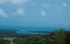 Cape Tribulation, Daintree Rainforest And Wildlife Tour - thumb 7