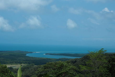 Cape Tribulation, Daintree Rainforest And Wildlife Tour - Darwin Tourism 7