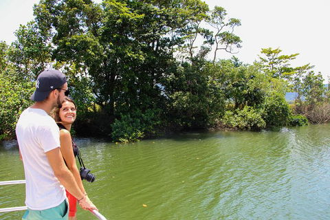 Cape Tribulation, Daintree Rainforest And Wildlife Tour - Darwin Tourism 8