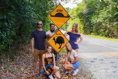 Cape Tribulation, Daintree Rainforest And Wildlife Tour - Darwin Tourism 10