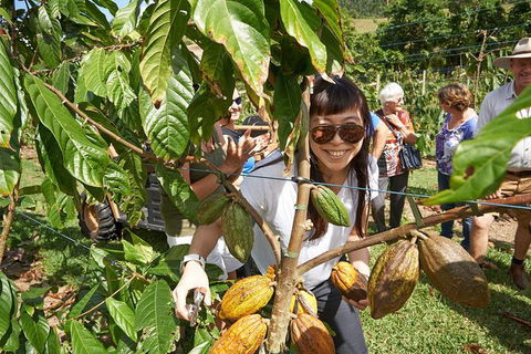 Charley\'s Chocolate Factory Tour, Mission Beach Including Aussie Farm Lunch - Darwin Tourism 3