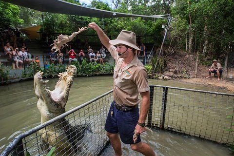Port Douglas And Hartley's Crocodile Adventure Day Trip From Cairns - Darwin Tourism 1