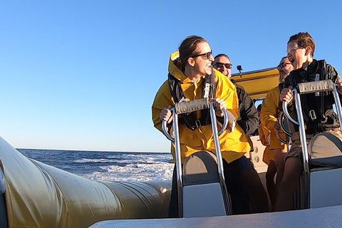 Noosa Oceanrider - Thrill Ride - Darwin Tourism 5