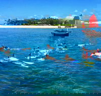 Low Island Snorkelling Private Charter Aboard Authentic Chinese Junk Boat - Darwin Tourism