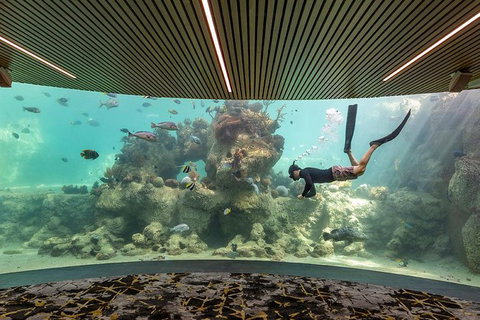 Whitehaven Beach And Daydream Island Cruise - Darwin Tourism 6