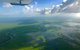 Kakadu National Park Scenic Flight & Cruise - thumb 14