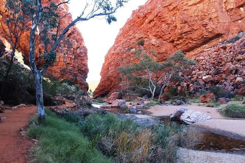Half Day MacDonnell Ranges Small Group - Private Guided Tour - Darwin Tourism 0