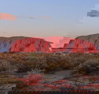 3-Day Uluru Camping Tour from Alice Springs Including Kata Tjuta and Kings Canyon - Darwin Tourism