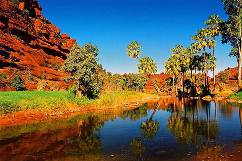Palm Valley 4WD Day Tour - Darwin Tourism 0
