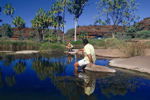 Palm Valley 4WD Day Tour - Darwin Tourism 3