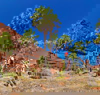 Palm Valley 4WD Tour from Alice Springs - Darwin Tourism