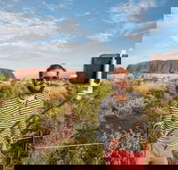 3-Day Ayers Rock and Kings Canyon Camping Tour - Darwin Tourism