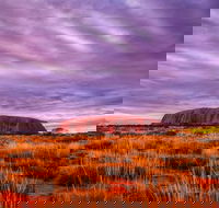 4-Day Camping Trip from Ayers Rock Including Uluru Kata Tjuta and Kings Canyon - Darwin Tourism