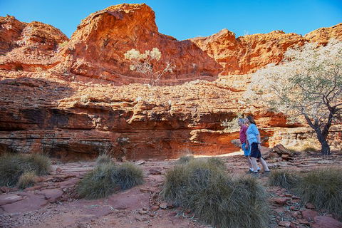 Coach Transfer From Ayers Rock To Kings Canyon - Darwin Tourism 7