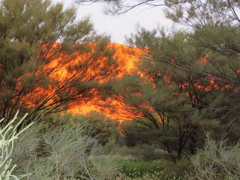 3-Day Ayers Rock, Olgas And Kings Canyon Camping Safari - Darwin Tourism 6