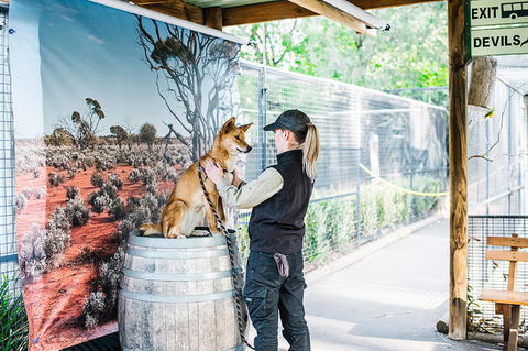 2-Day Combo: Sydney City Tour, Sydney Harbour Lunch Cruise And Blue Mountains Day Trip - Darwin Tourism 18