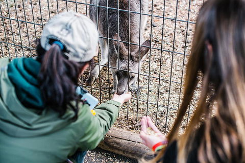 2-Day Combo: Sydney City Tour, Sydney Harbour Lunch Cruise And Blue Mountains Day Trip - Darwin Tourism 21