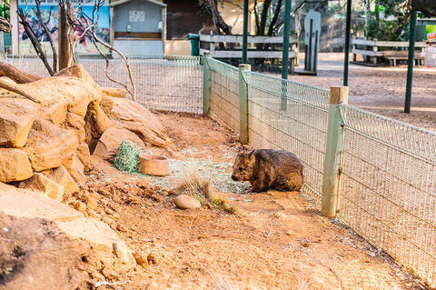 2-Day Combo: Sydney City Tour, Sydney Harbour Lunch Cruise And Blue Mountains Day Trip - Darwin Tourism 20