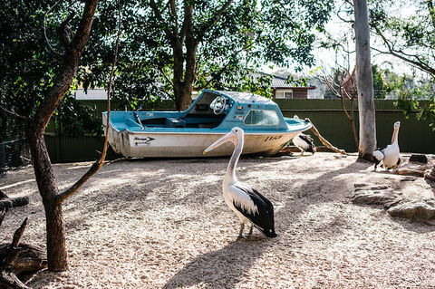 2-Day Combo: Sydney City Tour, Sydney Harbour Lunch Cruise And Blue Mountains Day Trip - Darwin Tourism 19