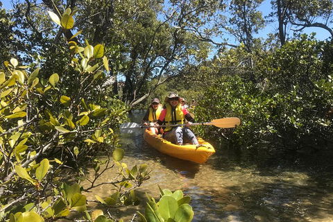 Paddle In Paradise - 4 Hours Double Kayak Hire - Darwin Tourism 5