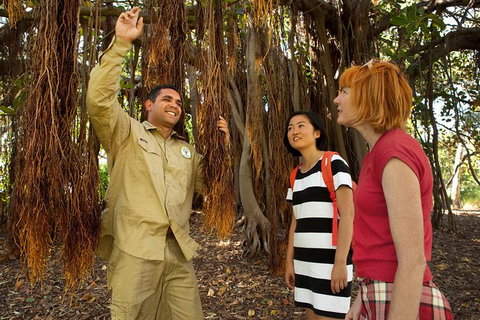 Aboriginal Heritage Tour At The Royal Botanic Garden Sydney - Darwin Tourism 6