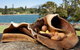 Aboriginal Heritage Tour At The Royal Botanic Garden Sydney - thumb 7