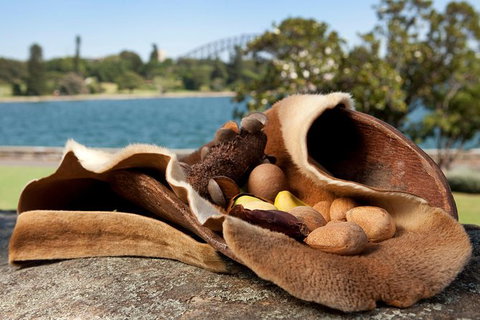 Aboriginal Heritage Tour At The Royal Botanic Garden Sydney - Darwin Tourism 7