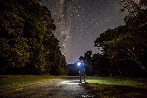 Byron Bay Surfing Lesson And Mount Warning Sunrise Climb Including Overnight Camping And BBQ Dinner - Darwin Tourism 0