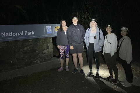 Byron Bay Surfing Lesson And Mount Warning Sunrise Climb Including Overnight Camping And BBQ Dinner - Darwin Tourism 13