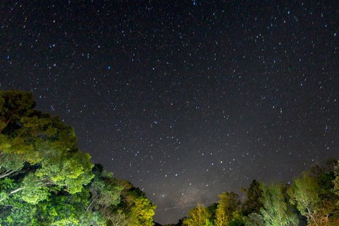 Byron Bay Surfing Lesson And Mount Warning Sunrise Climb Including Overnight Camping And BBQ Dinner - Darwin Tourism 12