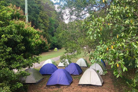 Byron Bay Surfing Lesson And Mount Warning Sunrise Climb Including Overnight Camping And BBQ Dinner - Darwin Tourism 18