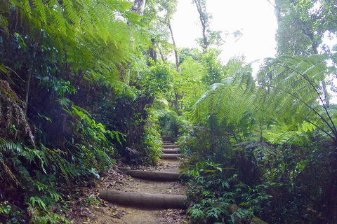 Byron Bay Surfing Lesson And Mount Warning Sunrise Climb Including Overnight Camping And BBQ Dinner - Darwin Tourism 8