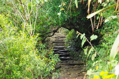 Byron Bay Surfing Lesson And Mount Warning Sunrise Climb Including Overnight Camping And BBQ Dinner - Darwin Tourism 17