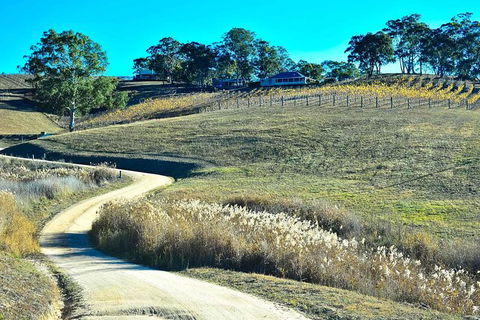 Private Blue Mountains And Winery Day-Trip From Sydney - Darwin Tourism 7